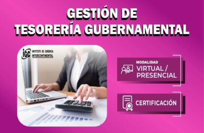 Gestión de Tesorería Gubernamental