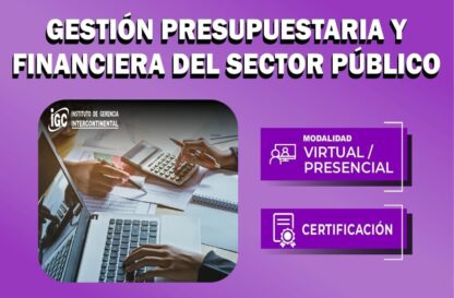 Gestión Presupuestaria y Financiera del Sector Público